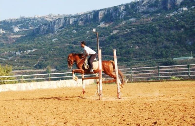 Golden Lili Resort & Spa Aley Fasiliteter bilde